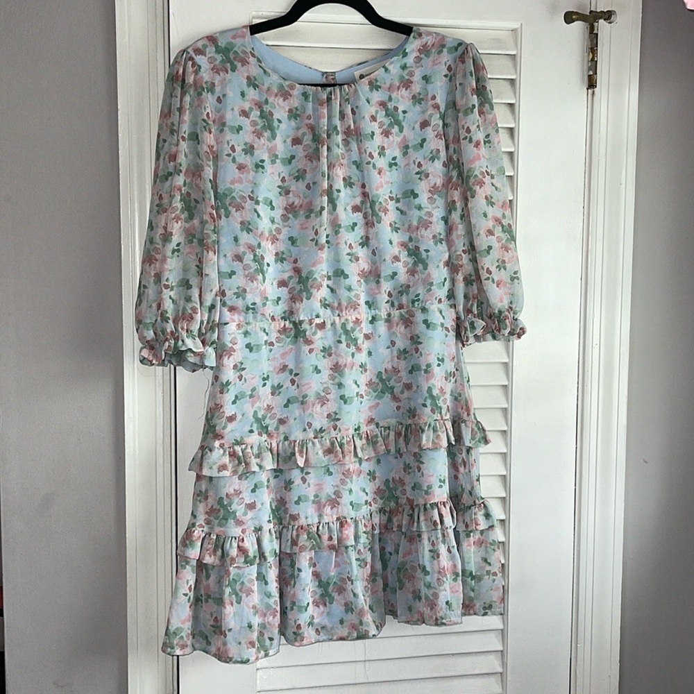 The Impeccable Pig Dress Size Large